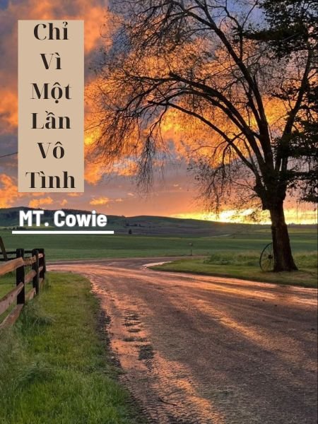 Chỉ Vì Một Lần Vô Tình